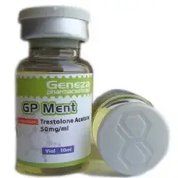 GP Ment