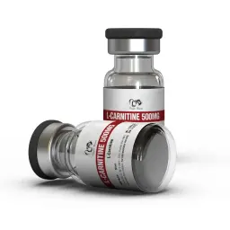 L-Carnitine 500